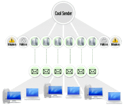 DNS Modulü